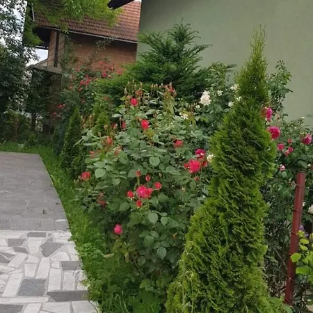 Stup Apartment *