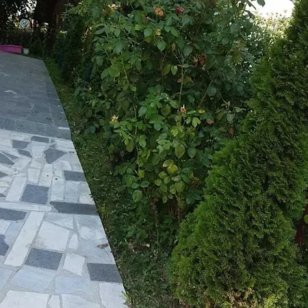 Stup * Sarajevo